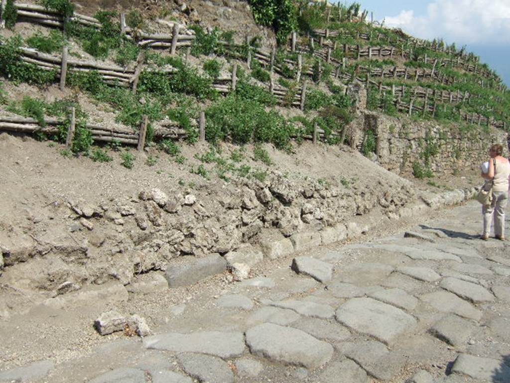 V.6.6 Pompeii. May 2006. East side of Via Vesuvio, looking south-east.