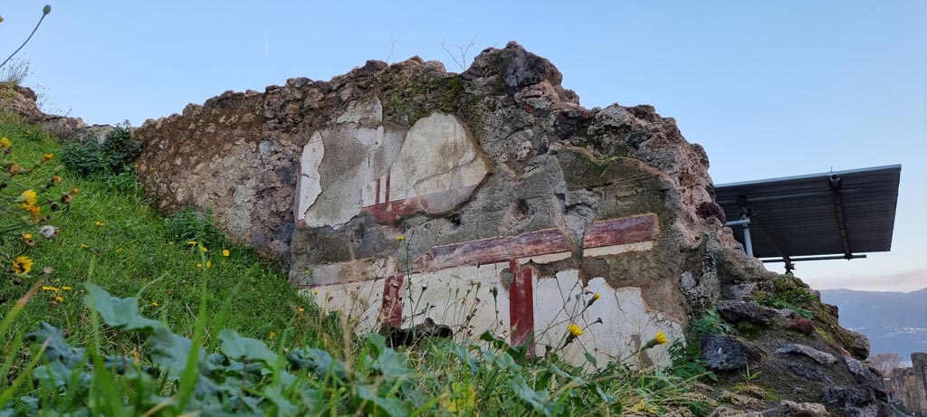 V.6.8 Pompeii. December 2023. Looking south towards decorated wall on wall at south side of plot. Photo courtesy of Miriam Colomer.