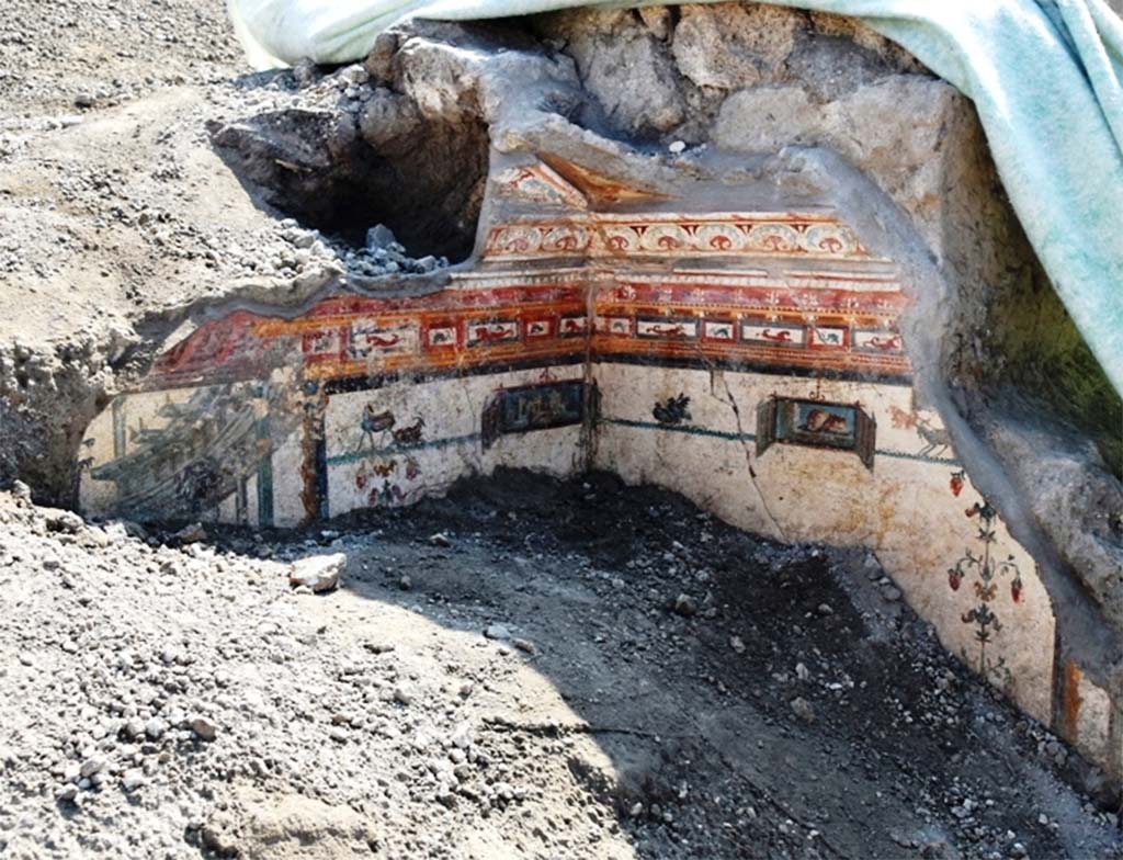 V.6.12 Pompeii. November 2018. Amb. 9. Cubiculum. Upper corner during excavation showing part of the ceiling. 
The exquisite designs even extended to the ceiling, which completely collapsed under the weight of the lapilli, and whose fragments were recovered by restorers and used to reconstruct the story.

Cubiculum. Angolo superiore durante lo scavo che mostra parte del soffitto.
I disegni squisiti anche esteso al soffitto, rovinosamente crollato sotto il peso dei lapilli, i cui frammenti sono stati recuperati dai restauratori per ricomporne la trama.

Photograph © Parco Archeologico di Pompei.
