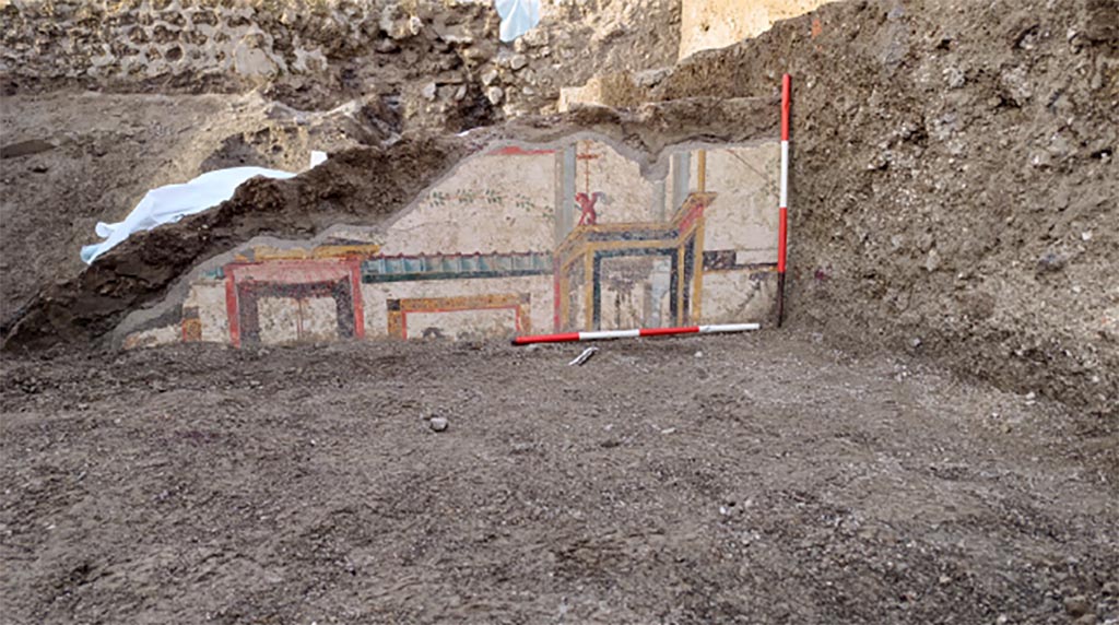 V.6.12 Pompeii, December 2023. Amb. 35, tablinum.
Behind the atrium (room 25), three rooms (35; 44; 45) and a corridor space (44) have emerged. 
From the atrium one could access the corridor and room 35 which probably represented a tablinum. 
The visible decorative scheme is limited to the upper area and the top part of the middle area. Faux architectures are represented, such as aedicules surmounted by winged griffins and blue pergolas, in turn delimited by red banded squares on a white background. Inside, amphorae framed by garlands. Painted pinakes are placed near the middle register. Between the aedicules there are squares with stylised and monochromatic animal figures
Vedi/See E-Journal 09: 21.12.23, Scavo e restauro della Casa di Leda – Regio V, 6. Nuovi rinvenimenti, p. 4, Fig. 7-8.
Photograph © Parco Archeologico di Pompei.
