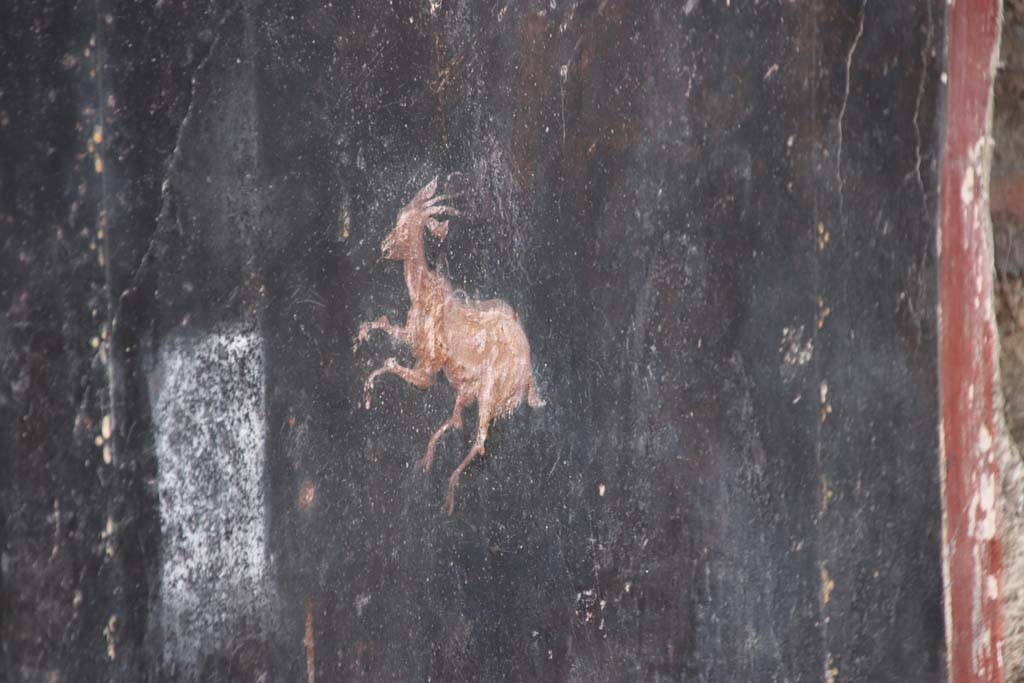 V.6.12 Pompeii. October 2020. Detail of painted animal in centre of panel on east side of red central panel on north wall. 
Photo courtesy of Klaus Heese.
