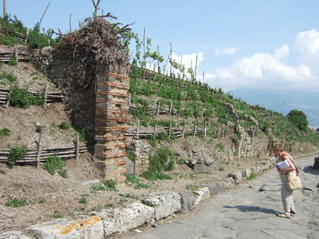 V.6.16 and V.6.15 Pompeii. May 2006. Entrances, looking south along the east side of Via del Vesuvio.