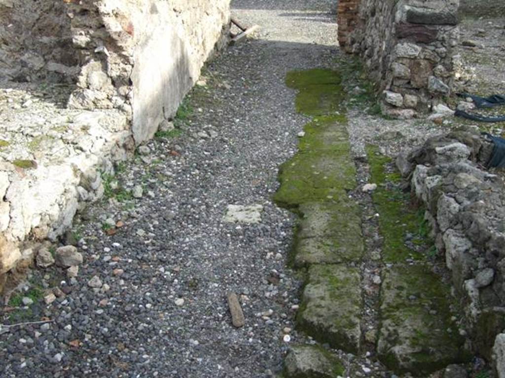 VI.1.7 Pompeii. December 2007. Room 41, pool.  According to Jashemski, at the rear of the tablinum was a small garden with a pool in the middle.
It was excavated in 1785-86. See Jashemski, W. F., 1993. The Gardens of Pompeii, Volume II: Appendices. New York: Caratzas. (p.119)
