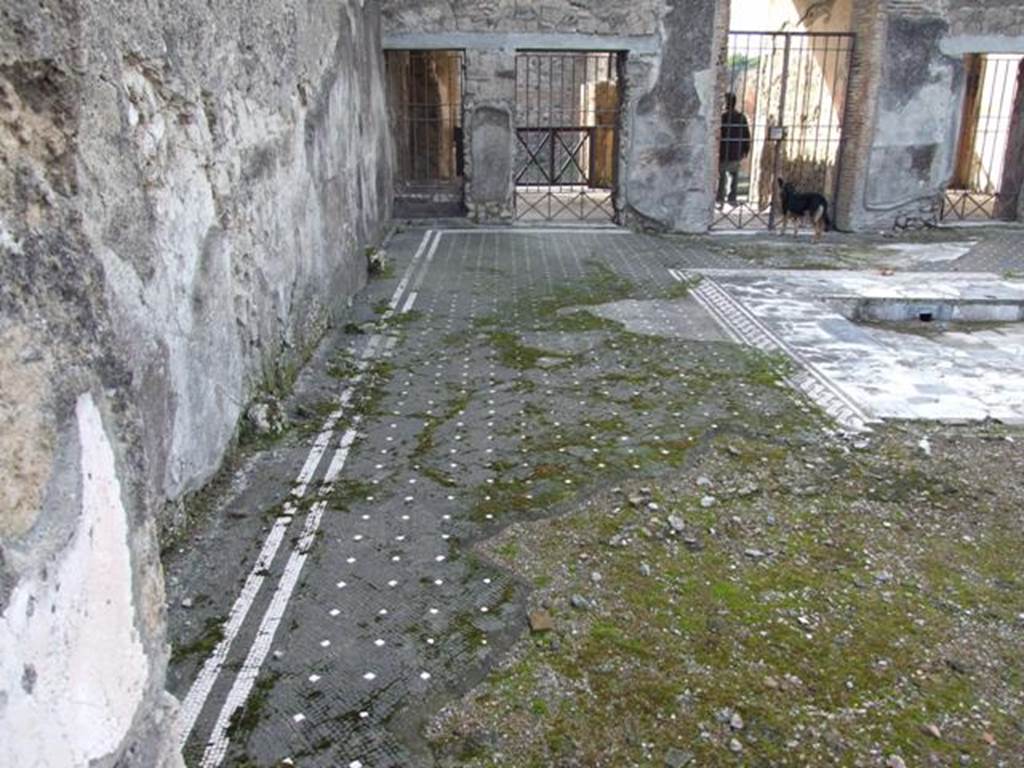 VI.1.7 Pompeii. December 2007. Looking west across south side of atrium, from room 43.