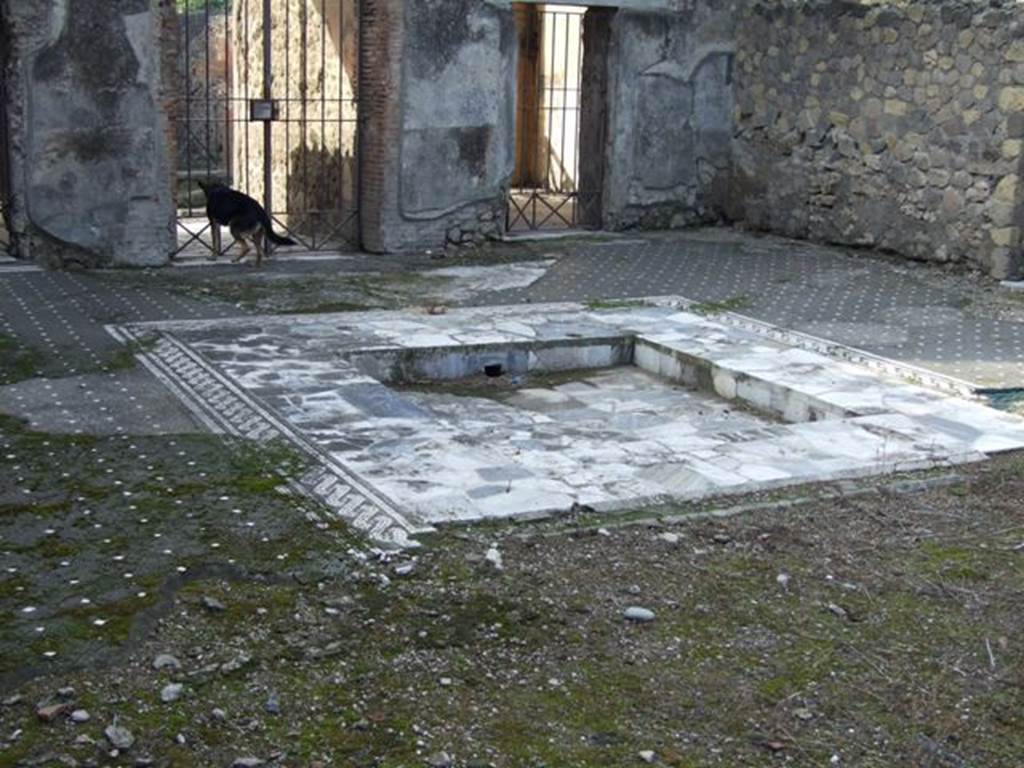 VI.1.7 House of the Vestals.  Impluvium in atrium.