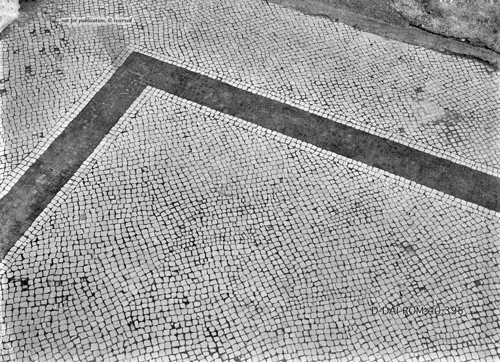 VI.6.1 Pompeii. c.1930. Room 6, detail of mosaic flooring in atrium
DAIR 40.395. Photo  Deutsches Archologisches Institut, Abteilung Rom, Arkiv.
See Pernice, E.  1938. Pavimente und Figrliche Mosaiken: Die Hellenistische Kunst in Pompeji, Band VI. Berlin: de Gruyter, (taf. 15,5).
