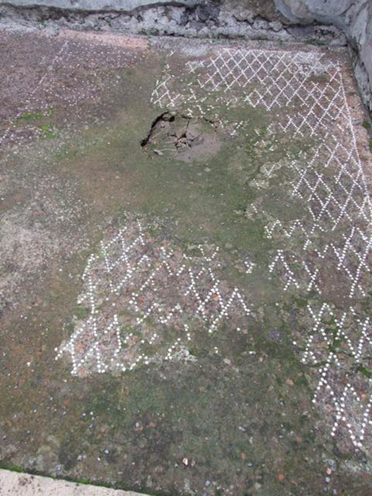 VI.6.1 Pompeii. December 2007. Room 9, decorated floor.