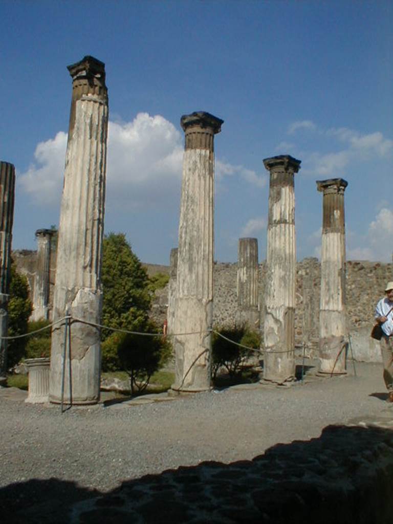 VI.6.1 Pompeii. September 2004. Peristyle, looking east along the south portico. According to Jashemski, the peristyle garden was enclosed on all four sides by an elegant portico. This portico was supported by sixteen stuccoed columns, painted yellow below, white and fluted above.
A cistern puteal stood between the first two columns at the south end of each of the long sides of the portico. Only the puteal on the west side (left in photo above) is preserved.

