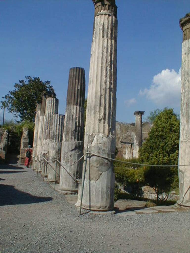 VI.6.1 Pompeii. September 2004. Peristyle.