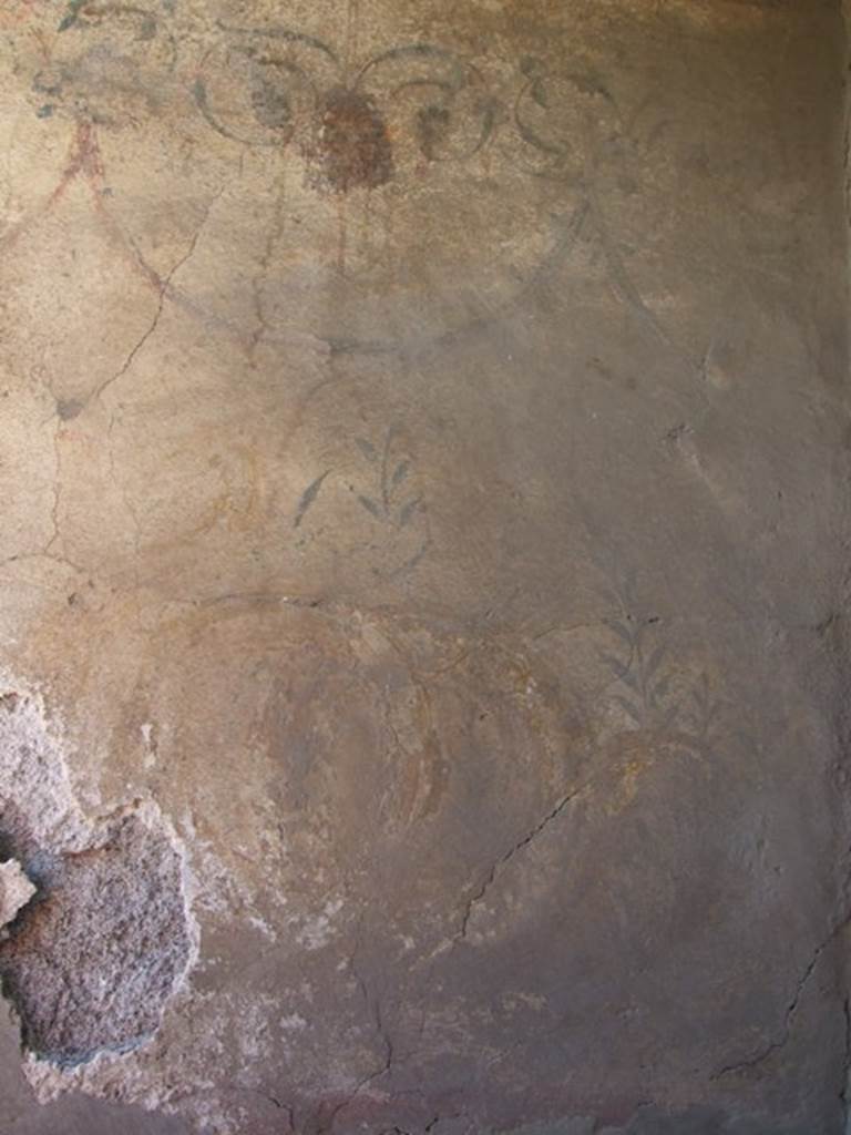 VI.7.6 Pompeii.  March 2009. West wall with painting of garlands and remains of serpent.