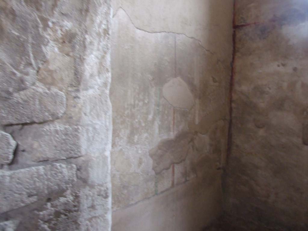 VI.8.5 Pompeii. March 2009. Room 7, south wall of cubiculum.
At the west end of the wall, another bird similar to the one on the north wall can be seen.
