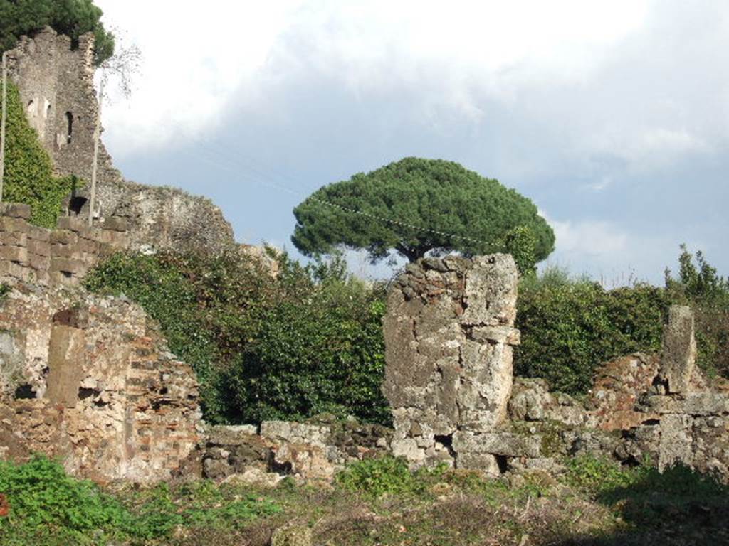 VI.9.1 Pompeii. December 2005. Looking north-east across garden area, from area of triclinium 15.

