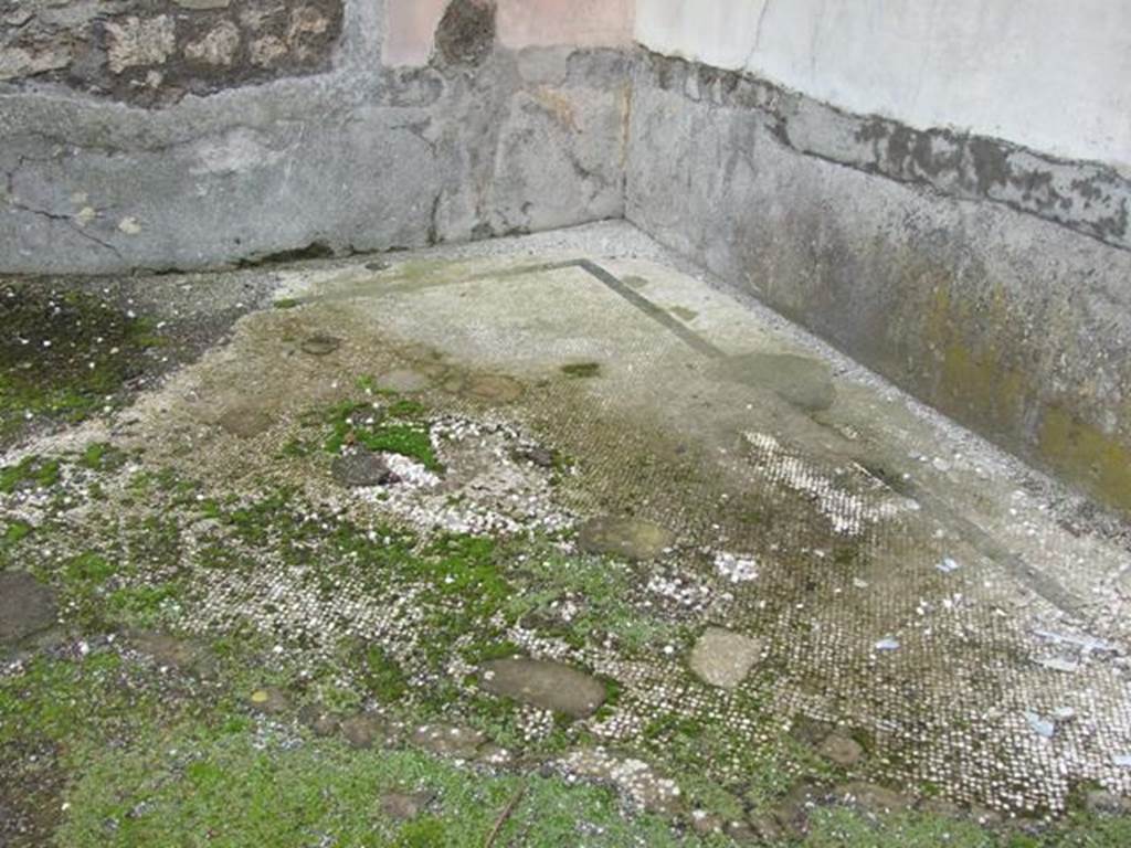 VI.10.11 Pompeii. March 2009. Room 15, black and white mosaic floor in triclinium.  