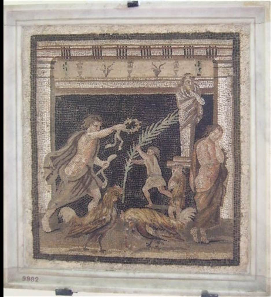 VI.11.10 Pompeii. Found in small room 44, on left side of room 43, on 10th September 1835.  
Mosaic showing a cock fight in the presence of two youths.
Now in Naples Archaeological Museum, inventory number 9982.
See Pagano, M. and Prisciandaro, R., 2006. Studio sulle provenienze degli oggetti rinvenuti negli scavi borbonici del regno di Napoli. Naples: Nicola Longobardi. (p.151), PAH II, 316.
According to Fiorelli in PAH, II, (p.316) –
“10th September 1835. And in the floor of the small room on the left, near to the left corner at the head of the same tablinum, we have discovered a second mosaic, sized 18.16 inches squared (0.46m squared) or in italian “pal. 1 ¾ x 1 ¾” showing two cocks having a quarrel, one being injured, his owner stands dejected, while the owner of the victorious cock happily holds out a wreath/crown, as he is handed a palm leaf.”


