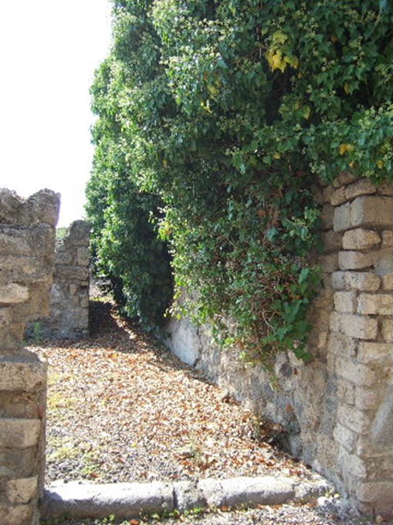 VI.11.15 Pompeii. September 2005. Entrance doorway, looking west.
According to Fiorelli, this small house also without an entrance corridor, had a staircase to the upper floor in the atrium. At the rear of the atrium it had only one room bordering onto a corridor leading to the kitchen and a nearby room. On the exterior walls on either side of the doorway, many obscene graffiti and women’s names were found. Names included, Iucunda, Secunda, Aprodite, Numpe, Veneria, Restituta, with graffiti that revealed their lives. See Pappalardo, U., 2001. La Descrizione di Pompei per Giuseppe Fiorelli (1875). Napoli: Massa Editore. (p.70)
(for other graffiti, see VI.11.14)
According to Varone, found to the right of the entrance was CIL IV 1383, it read –
Isidorum aed(ilem) [ o(ro)  v(os)  fac(iatis)]
optime cunulincet  [….]
According to Varone, found to the right of the entrance was CIL IV 1391, it read –
Veneria
Maximo
mentla
exmuccavt
per vindemia[[m]]
tota
et relinque-
tutr(umque) ventre
inane e[t]
os plenu
C.S (---)
See Varone, A., 2002. Erotica Pompeiana: Love Inscriptions on the Walls of Pompeii, Rome: L’erma di Bretschneider. (p.81 and p.78-9 with fig VII)
