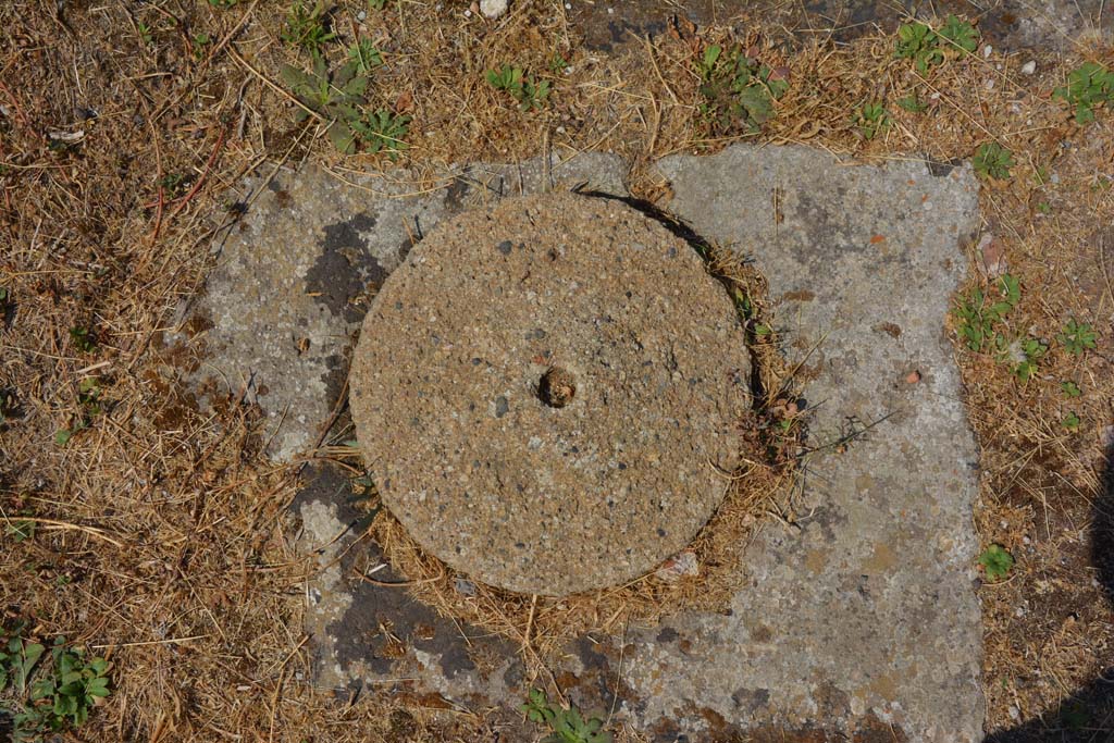 VI.12.5 Pompeii. 14th July 2017. Detail of cistern-mouth on south side of impluvium in atrium 7.   
Foto Annette Haug, ERC Grant 681269 DÉCOR.
