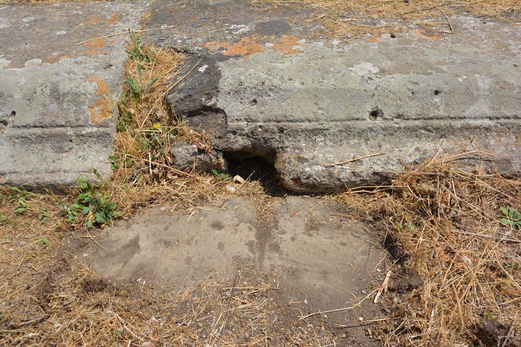 VI.12.5 Pompeii. December 2006. Looking east across impluvium in the Tetrastyle atrium 7.