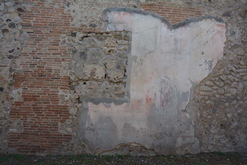 VI.14.28.33 Pompeii. October 2019. South wall of atrium.
Foto Annette Haug, ERC Grant 681269 DÉCOR.

