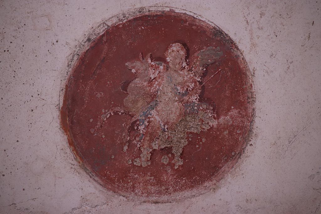 VI.15.1 Pompeii. October 2024. Painted medallion from north end of west wall of oecus. Photo courtesy of Klaus Heese.