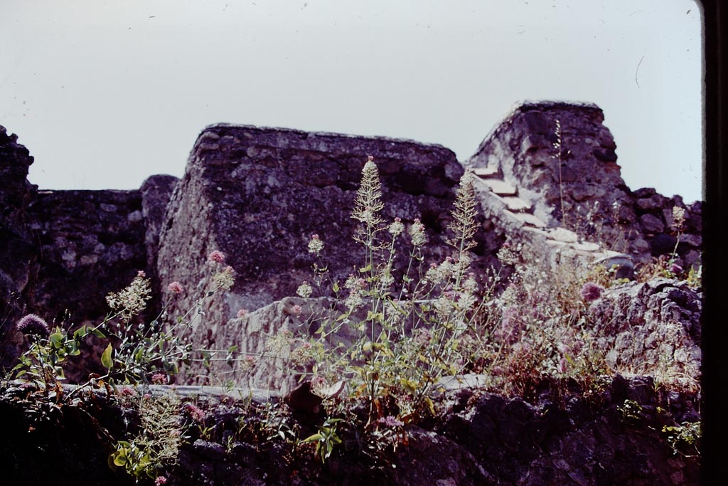 VI.15.1 and 2 Pompeii. 1978. Looking north from VI.15.1 towards upper floor and VI.15.2. Photo by Stanley A. Jashemski.   
Source: The Wilhelmina and Stanley A. Jashemski archive in the University of Maryland Library, Special Collections (See collection page) and made available under the Creative Commons Attribution-Non-Commercial License v.4. See Licence and use details.
J78f0241
