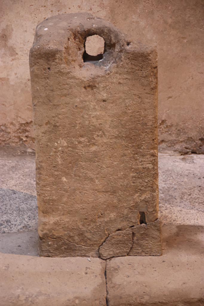 VI.15.1 Pompeii. March 2023. 
Looking across impluvium in services area towards lararium on west wall, and doorway to atrium in south wall.
Photo courtesy of Johannes Eber.
