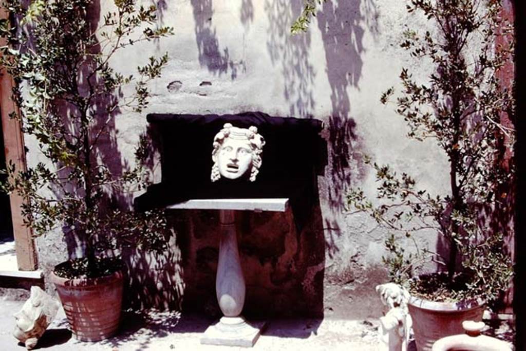 VI.16.7 Pompeii, 1978. Marble mask of Maenad being displayed for photograph. Photo by Stanley A. Jashemski.   
Source: The Wilhelmina and Stanley A. Jashemski archive in the University of Maryland Library, Special Collections (See collection page) and made available under the Creative Commons Attribution-Non Commercial License v.4. See Licence and use details. J78f0583
