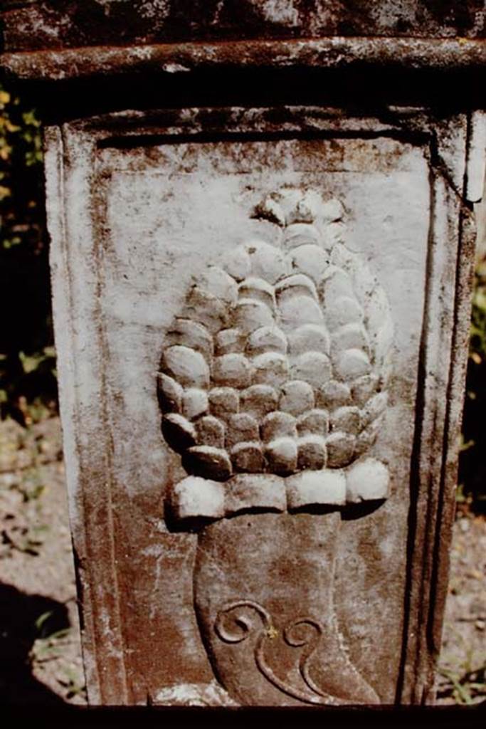 VI.16.7 Pompeii, 1968. Detail from pedestal. Photo by Stanley A. Jashemski.
Source: The Wilhelmina and Stanley A. Jashemski archive in the University of Maryland Library, Special Collections (See collection page) and made available under the Creative Commons Attribution-Non Commercial License v.4. See Licence and use details. J68f0196
