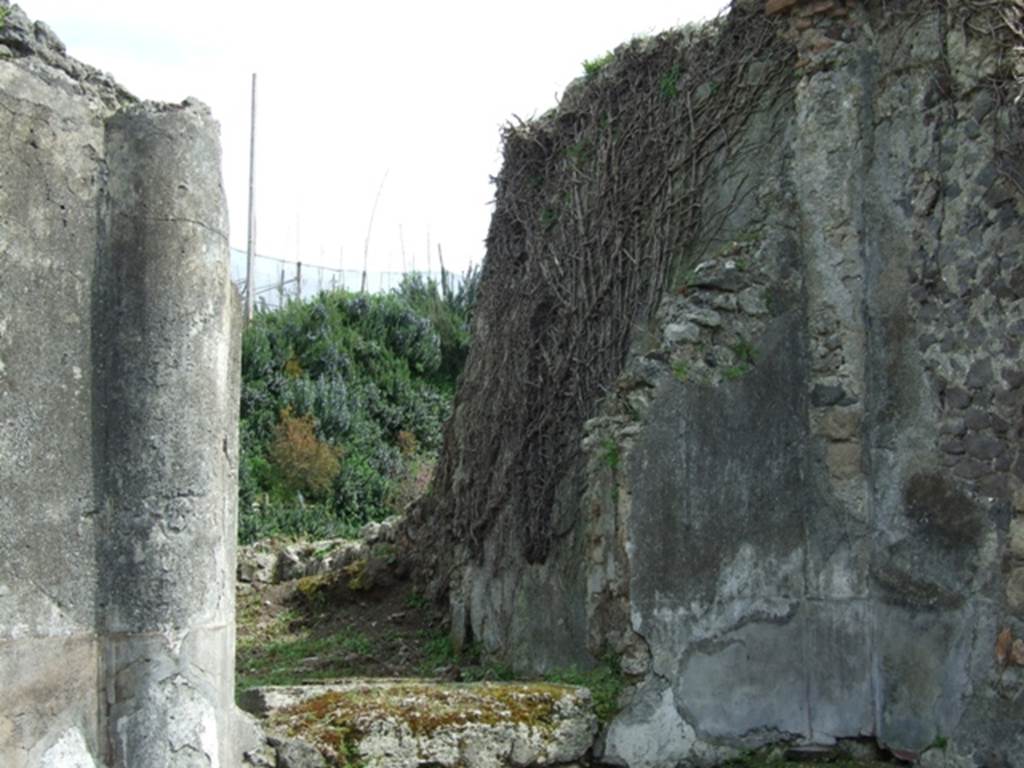 VI.16.27 Pompeii. March 2009.  South-east corner of garden, looking into room S, through remains of window.
