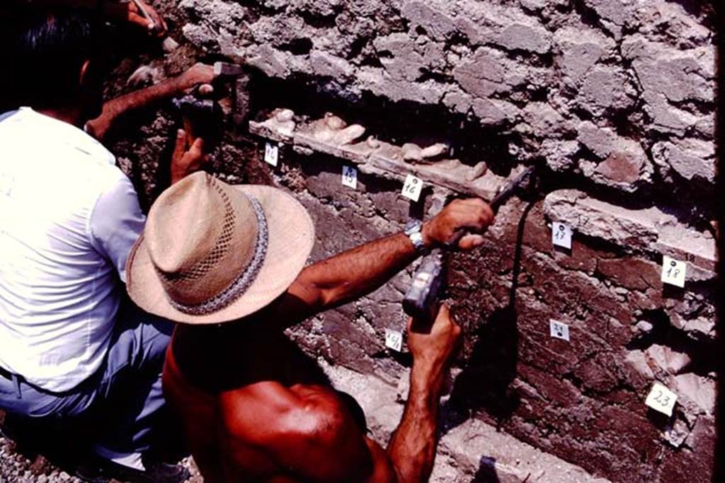 VI.17.42, Pompeii. 1983. Terracotta plaques being discovered in the west wall of the garden. Photo by Sally Gladden.    
Source: The Wilhelmina and Stanley A. Jashemski archive in the University of Maryland Library, Special Collections (See collection page) and made available under the Creative Commons Attribution-Non Commercial License v.4. See Licence and use details. J80f0595
