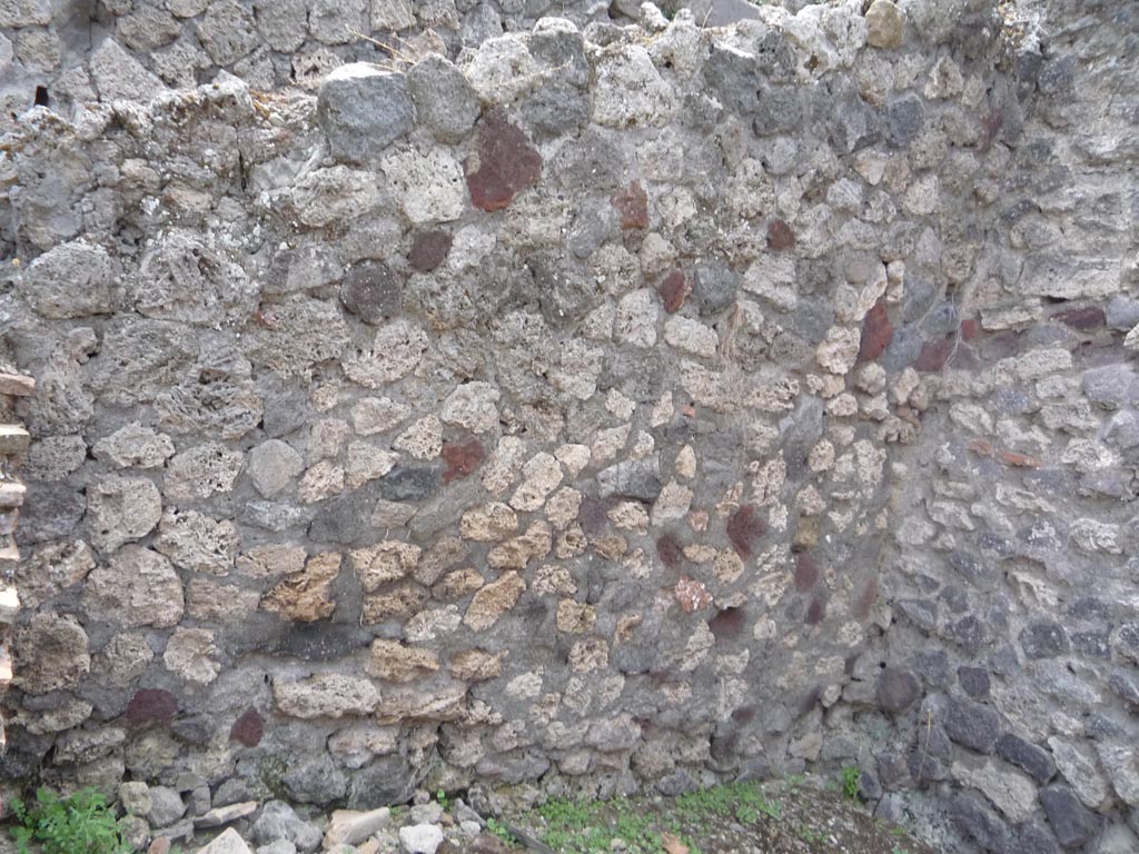 VII.1.36 Pompeii. October 2009. Looking towards south wall. Photo courtesy of Jared Benton.