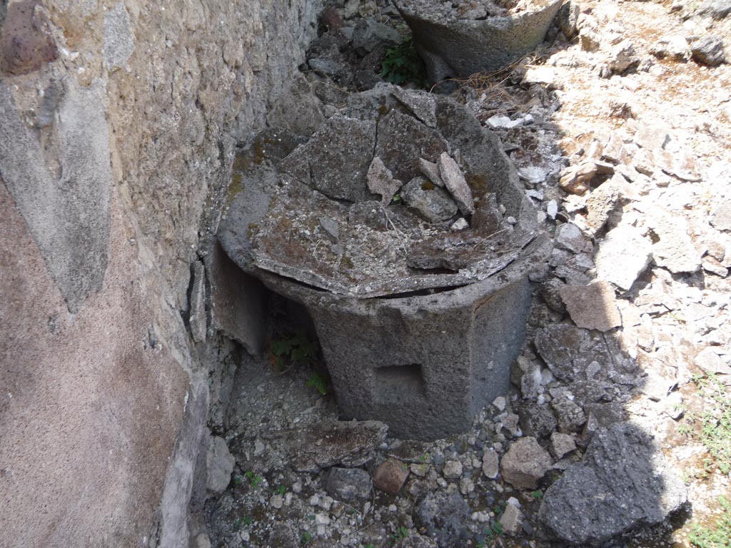 VII.1.36 Pompeii. October 2009. Looking west along south wall. Photo courtesy of Jared Benton.