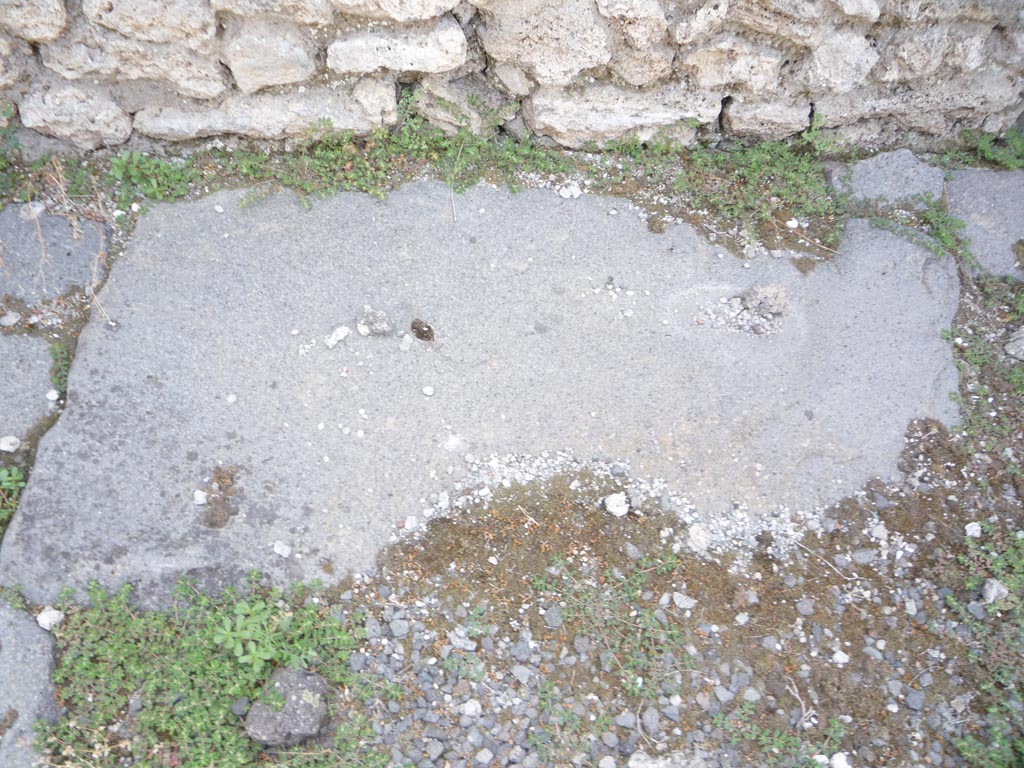 VII.1.36 Pompeii. October 2009. Flooring near south wall. Photo courtesy of Jared Benton.