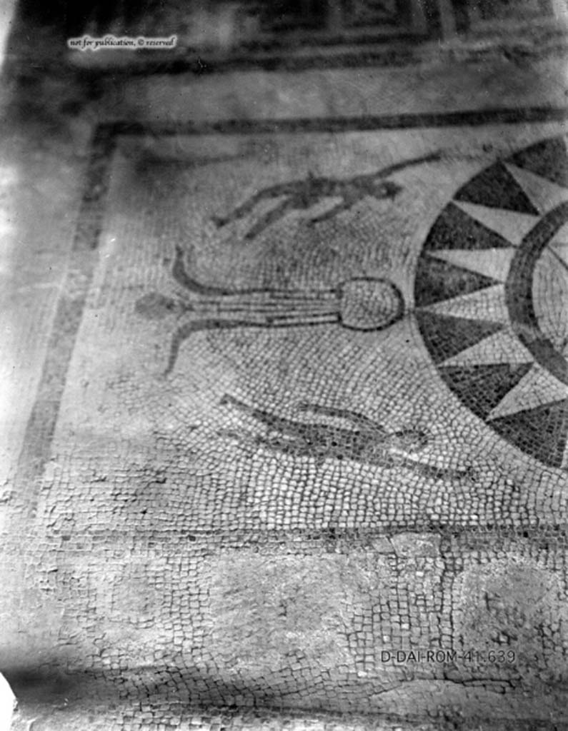 VII.1.40 Pompeii. c.1930. Mosaic flooring in caldarium.
DAIR 41.639. Photo © Deutsches Archäologisches Institut, Abteilung Rom, Arkiv.
See Pernice, E.  1938. Pavimente und Figürliche Mosaiken: Die Hellenistische Kunst in Pompeji, Band VI. Berlin: de Gruyter, (tav. 20.1, above.)
