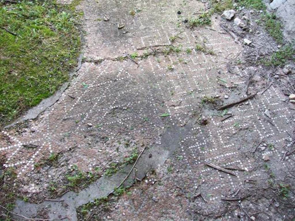 VII.2.16 Pompeii. March 2009. Room 10, decorative floor.  According to Bragantini, the floor was of cocciopesto with a pattern outlined in white tesserae. The emblema was set within a circle, bordered by a row of alternating black and white tesserae.
See Bragantini, de Vos, Badoni, 1986. Pitture e Pavimenti di Pompei, Parte 3. Rome: ICCD. (p.66, triclinio X)
