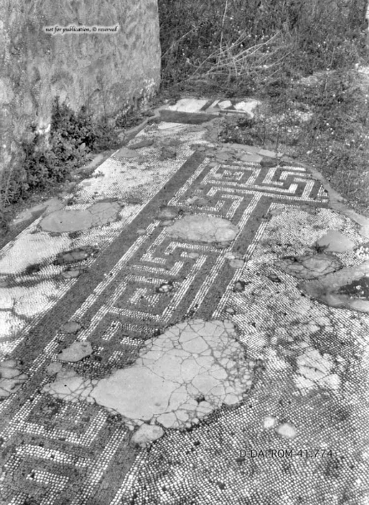 VII.2.18 Pompeii. c.1930. Flooring in tablinum. 
DAIR 41.774. Photo © Deutsches Archäologisches Institut, Abteilung Rom, Arkiv.
See Pernice, E.  1938. Pavimente und Figürliche Mosaiken: Die Hellenistische Kunst in Pompeji, Band VI. Berlin: de Gruyter, (tav. 49,2, above.)
