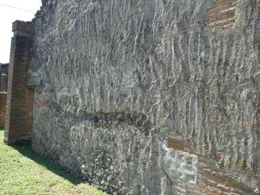 VII.2.18 Pompeii. March 2009. Room 10, west wall of tablinum.  