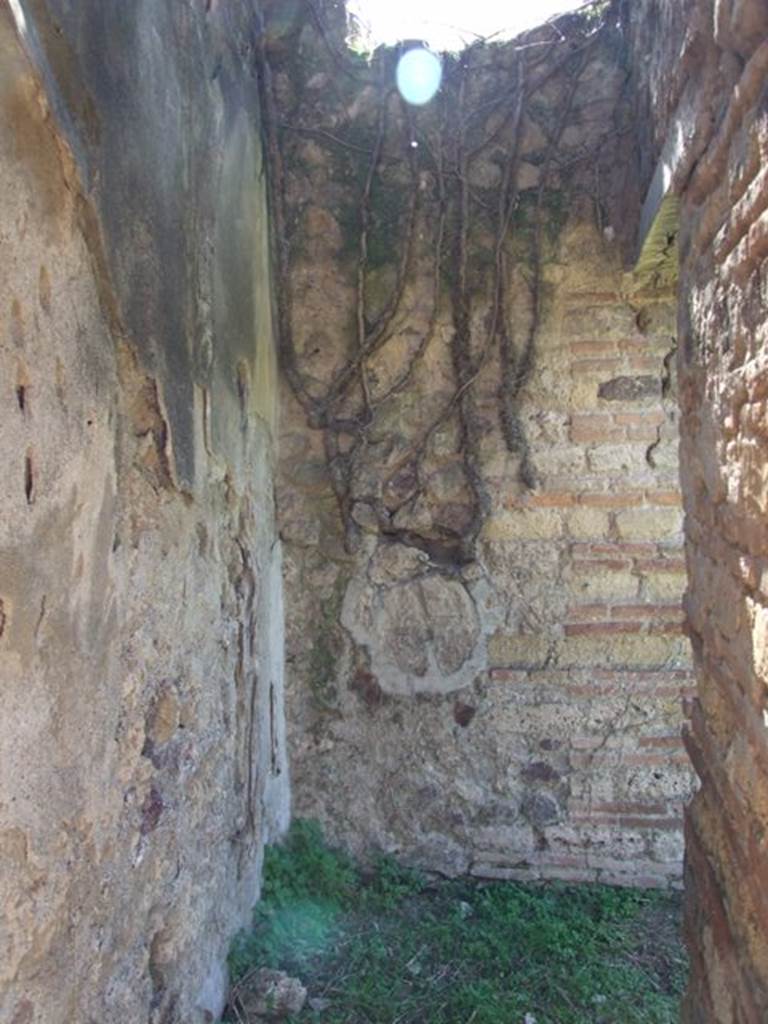 VII.2.18 Pompeii.  March 2009.  Room 12. South wall, with second doorway on right.