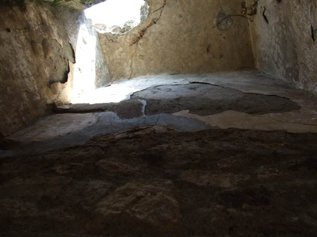 VII.2.18 Pompeii.  March 2009.  Room 16.  West wall, looking upwards.