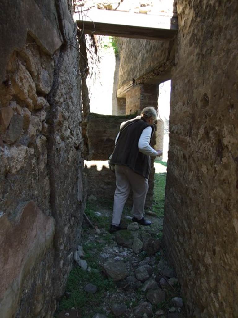 VII.2.18 Pompeii.  March 2009. Room 19.  Corridor to peristyle, from Kitchen area.