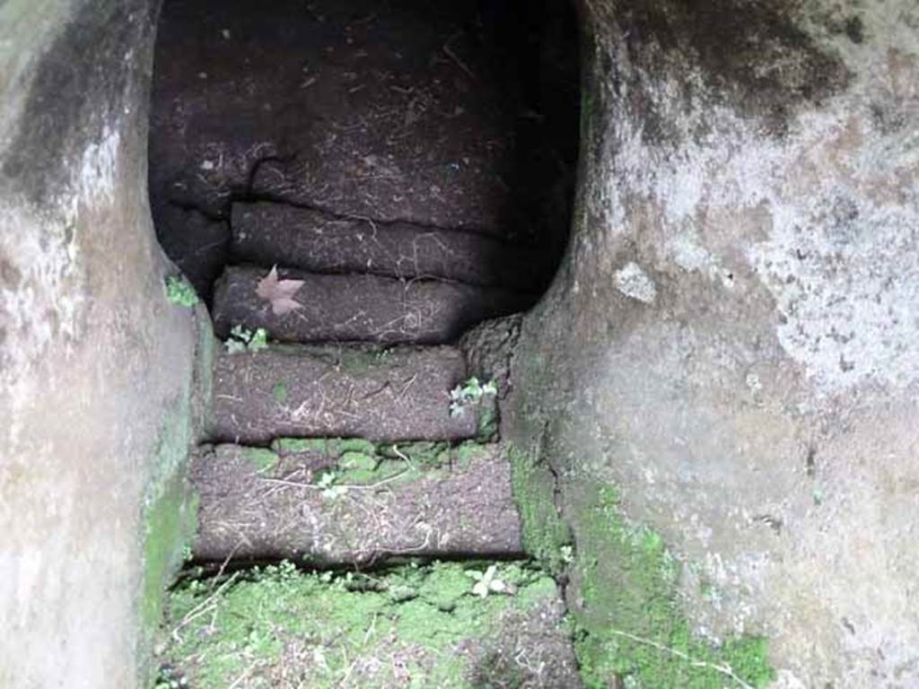 VII.2.35 Pompeii. May 2010. Steps to cellar.