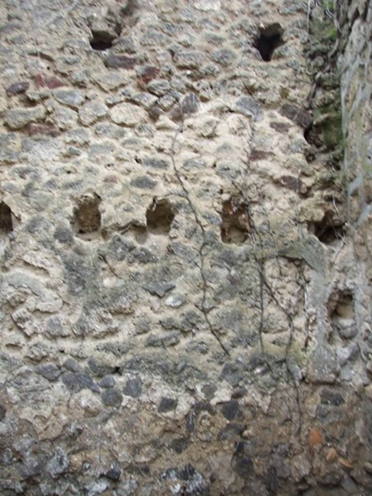 VII.3.4 Pompeii. March 2009. West wall of storeroom.