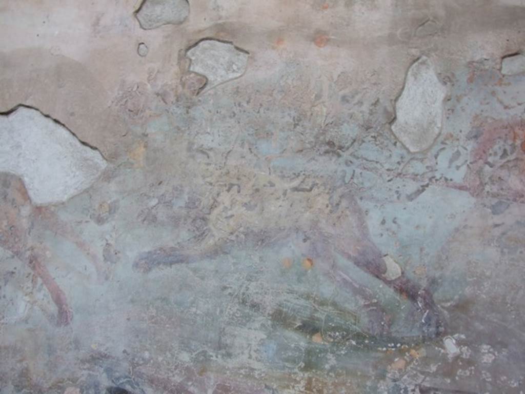 VII.4.48 Pompeii. December 2007.  Peristyle.  South wall.  Hunt scene animal.