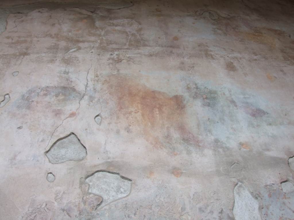 VII.4.48 Pompeii. March 2009. Peristyle, middle of south wall, perhaps the face of a bear ?