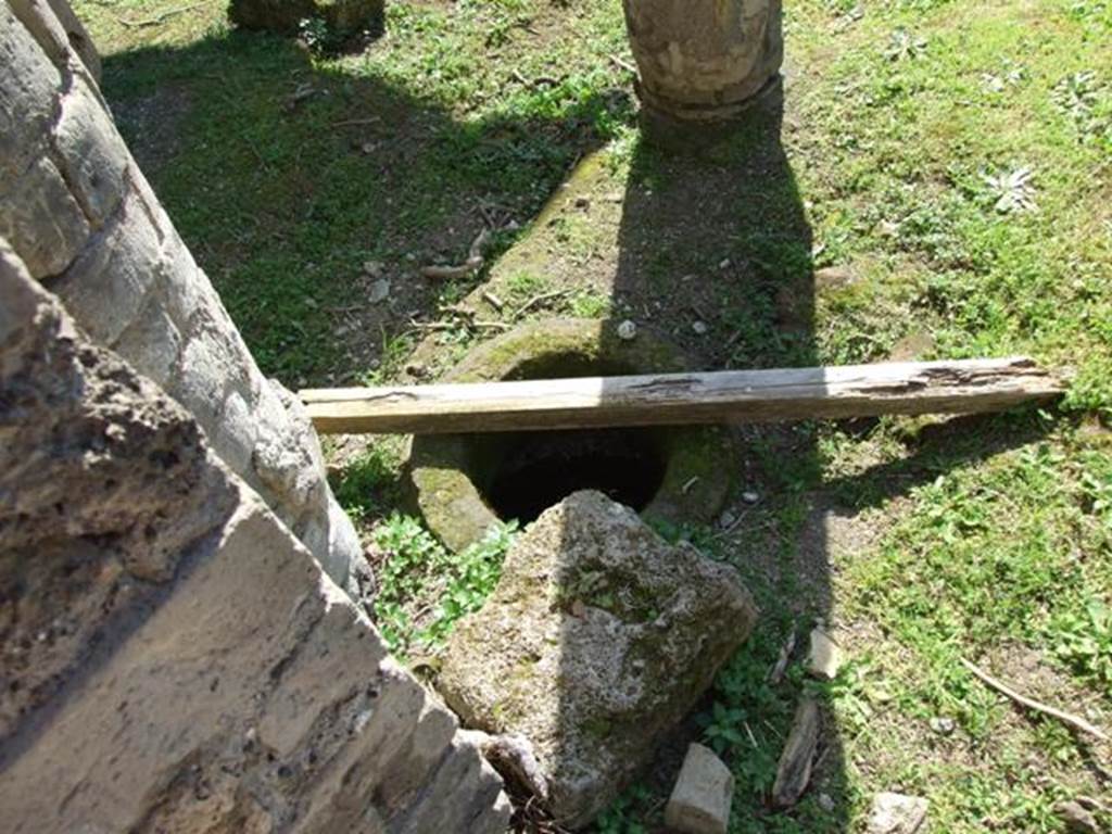 VII.4.56 Pompeii.  March 2009.  Cistern opening in North Portico.