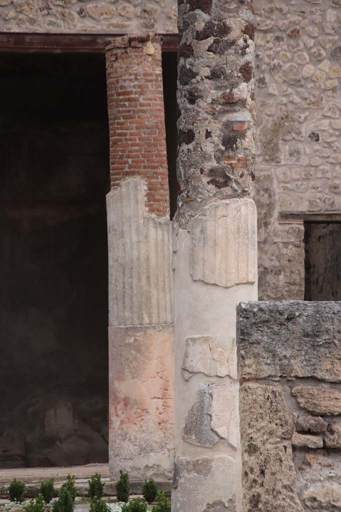 VII.7.5 Pompeii. October 2020. Looking north towards columns on east side of peristyle(l).
Photo courtesy of Klaus Heese.
