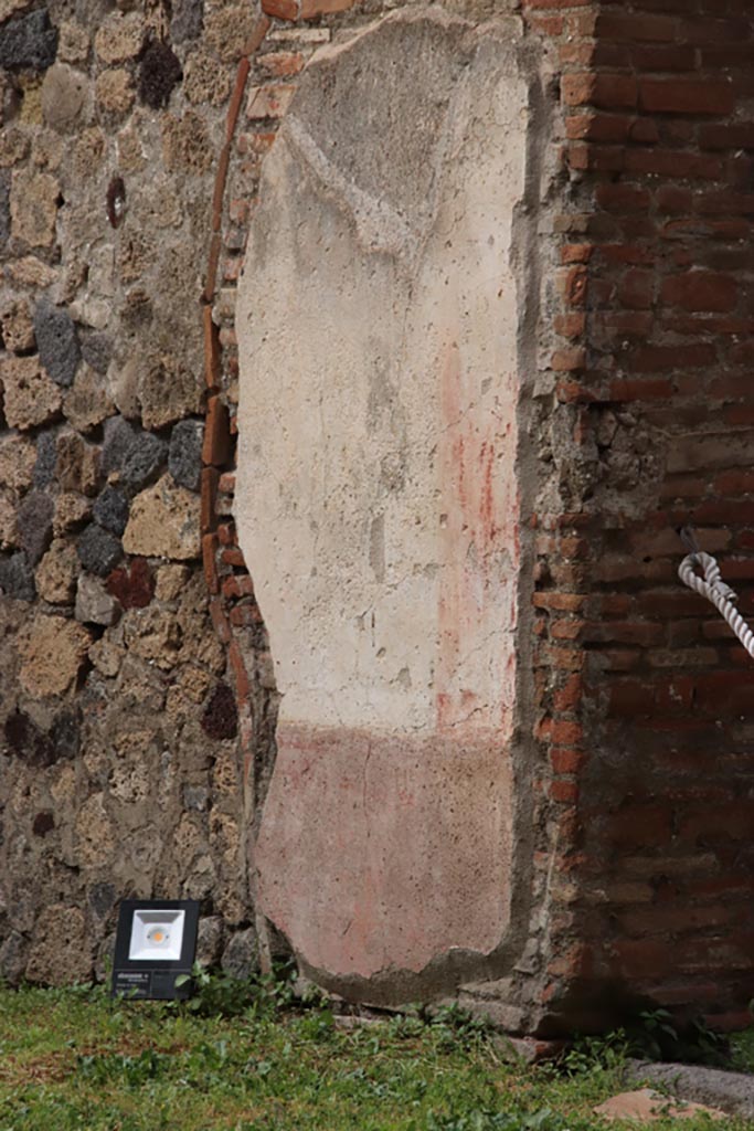 VII.7.13 Pompeii. May 2024. 
Remaining painted stucco on west wall of peristyle, south side of doorway to kitchen. 
Photo courtesy of Klaus Heese.
