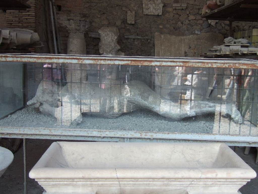 VII.7.29 Pompeii. May 2006. Plaster cast of woman’s body, and items in storage. According to Fiorelli’s description, the young woman was face down, with her head resting on her arms. She was denuded in part of her clothing, except for some traces on her shoulders.
Her tresses were still visible with hair knotted behind her head. She was found above the level of the Via Stabia at the north-eastern corner of VI.14, in 1875.
