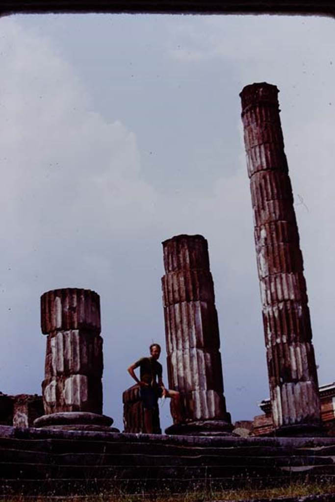 VII.8.1 Pompeii. 1974. Detail of columns on east side. Photo by Stanley A. Jashemski.   
Source: The Wilhelmina and Stanley A. Jashemski archive in the University of Maryland Library, Special Collections (See collection page) and made available under the Creative Commons Attribution-Non Commercial License v.4. See Licence and use details. J74f0157
