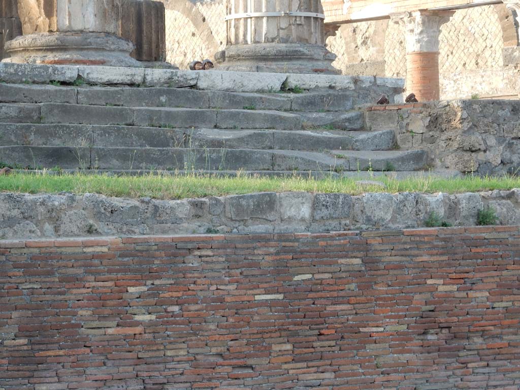 VII.8.1 Pompeii. June 2019. Looking north to well-worn steps on east side of Temple.  
Photo courtesy of Buzz Ferebee.
