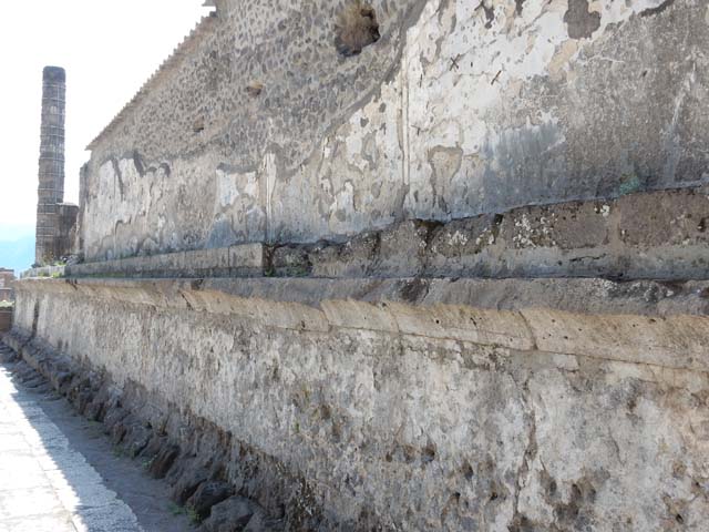 VII.8.1 Pompeii, May 2018. Looking along east wall from north end. Photo courtesy of Buzz Ferebee.